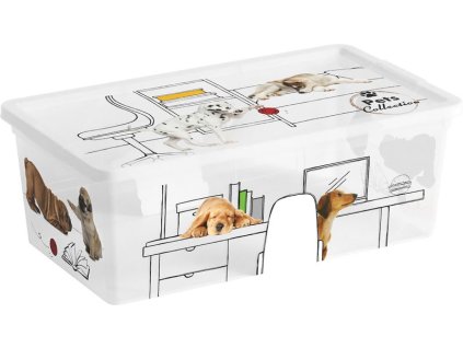 Box s vekom KIS C Style Pets XS, 6 lit., 19x34x12 cm