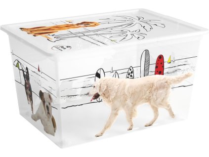 Box s vekom KIS C Style Pets XL, 50 lit., 39x55x31 cm