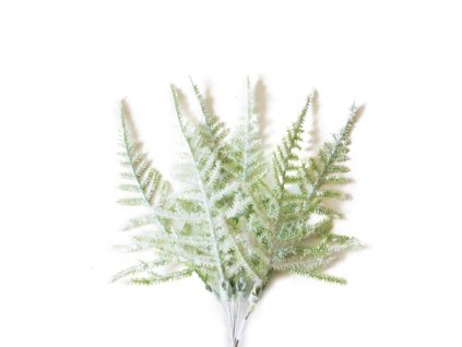 Vetvička MagicHome Vianoce, papraď, biela, 19 cm