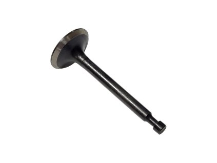 Ventil sací pre rotavátor Strend Pro QK60 3Q4095