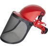Štít s chráničmi sluchu Safetyco, ochranný, oceľ, CE