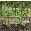 Sieť na uhorky s konštrukciou Strend Pro, 1,8x1,8 m