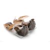 Vtáčatká so štipcom MagicHome, hnedé, pár, 15x5x5 cm