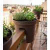 Kvetináč Strend Pro Modern Railing, na zábradlie, 25,5x28cm, hnedá