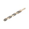 Vrták do kovu BLACK & GOLD 13x102x70mm šesťhranná stopka