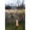 Dekorácia Strend Pro Garden, surikaty, solárna, 4xLED, 12x11x27,5 cm