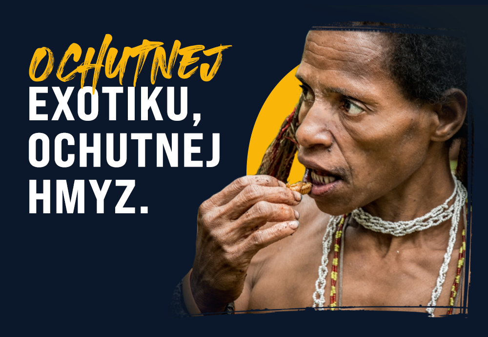 Hmyz jako potrava ve světě: které kmeny a etnika ho jedí a proč