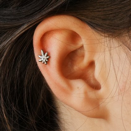 Titanová koncovka Herbaleaf list 420