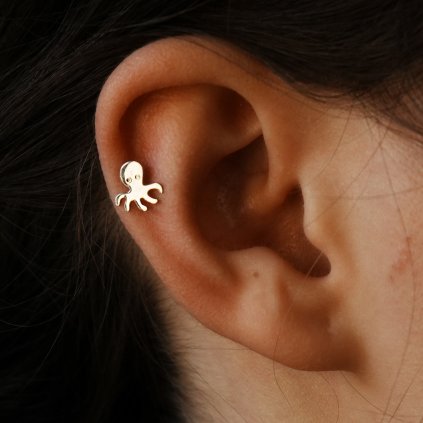 Titanová koncovka Octave chobotnice