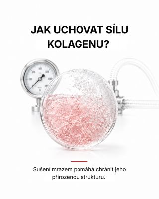 Jak uchovat přirozenou strukturu kolagenu? 🤍 Pomocí lyofilizace neboli sušení mrazem. Kolagenní gel se nejprve zmrazí, ve...