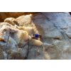 Prsten s lapis lazuli vel. 57