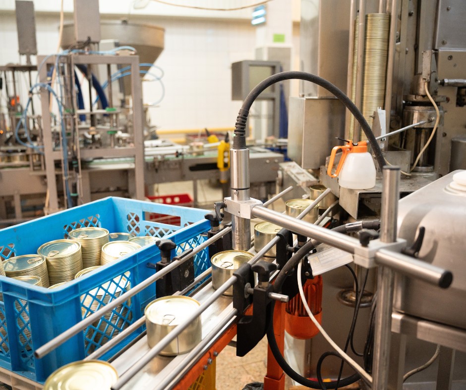 BARF alebo mäsové konzervy?