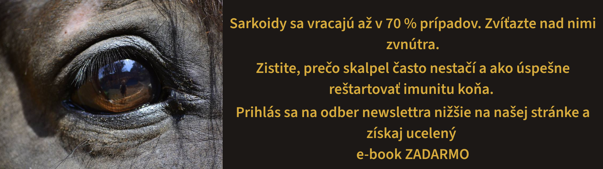 E-book zadarmo o liečbe a prevencii sarkoidov u koní od Crystalina. Grafika s detailom konského oka a textom o imunite.
