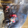Crystalina Horses  Anti Sarkoid 2,5 kg