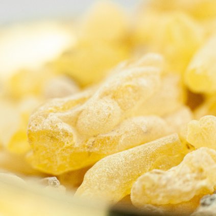 SANDARAK PRYSKYRICE NA VYKUROVANI (20G)