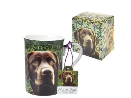 5ee485242970ccc788c3b5714