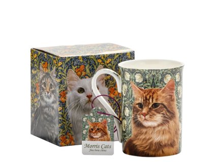 c9c2b0cb9855a2b8ef7d3e0b4