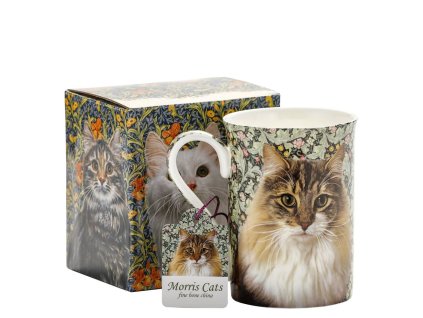 8a4cdc1a00f8b15aa70dae187