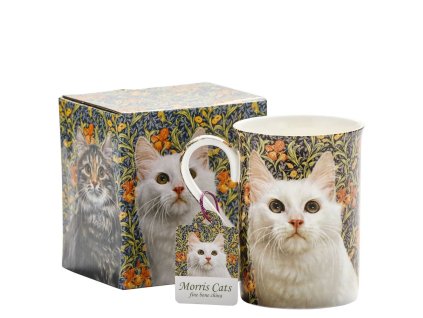 6499e2142ab5074bf2122fe41