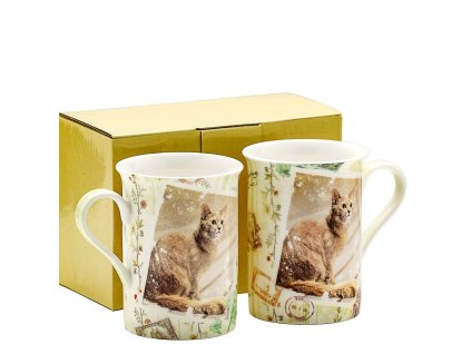 aae4a1143dd93c53a4d15a145