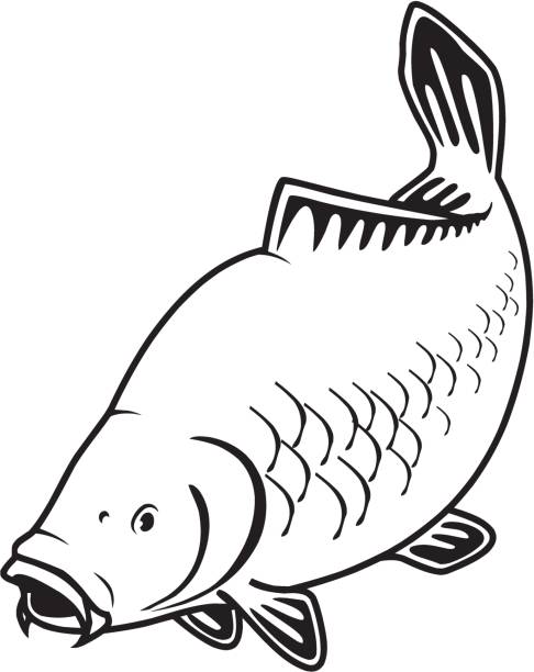 CSAKAPECA