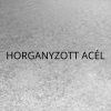 HORGANYZOTT ACÉL