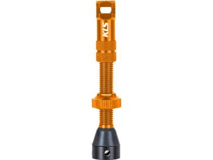 75603 INSERT BRO orange