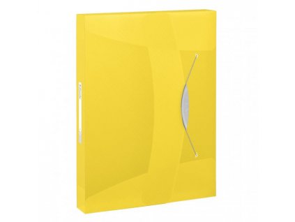 Plastový box s gumičkou Esselte VIVIDA žltý
