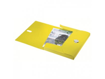 Box na spisy Leitz Recycle žltý