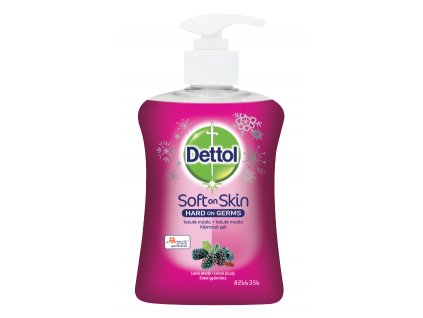 Dettol tek.mydlo 250ml Lesné plody