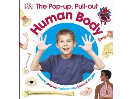 The Pop-Up, Pull-Out Human Body