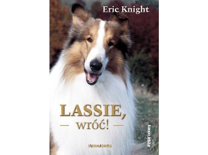 Lassie wróć!