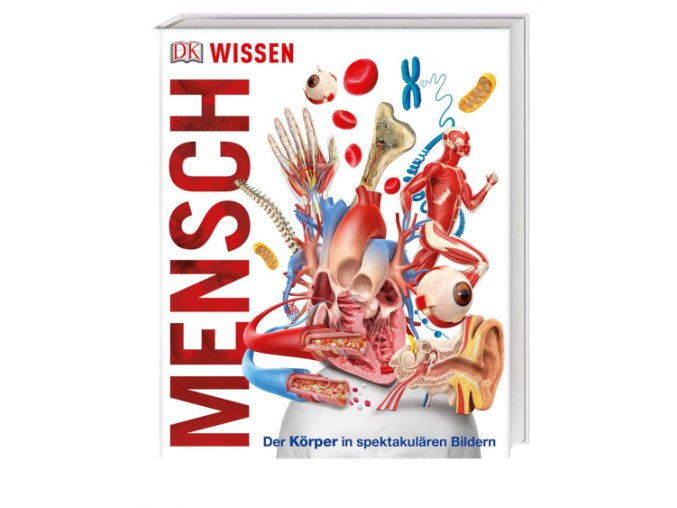 Wissen - Mensch