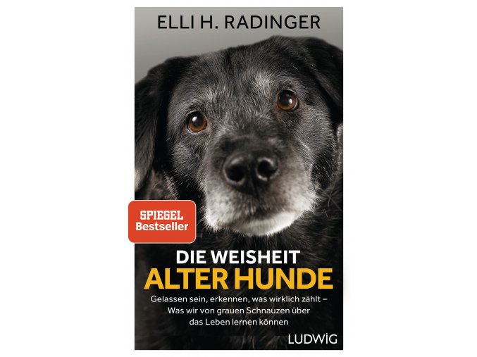 Die Weisheit alter Hunde