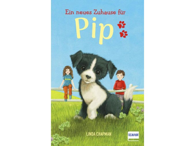 Ein neues Zuhause für Pip