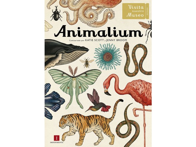 Animalium