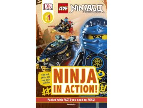 LEGO NINJAGO Ninja in Action!