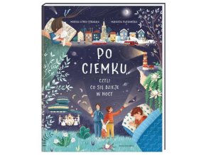 Po ciemku