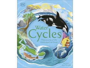 Water Cycles