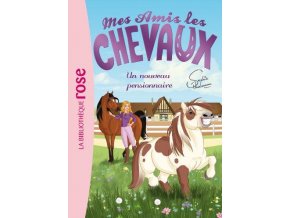 Mes amis les chevaux