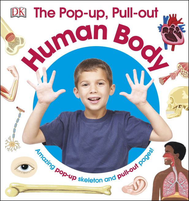 The Pop-Up, Pull-Out Human Body