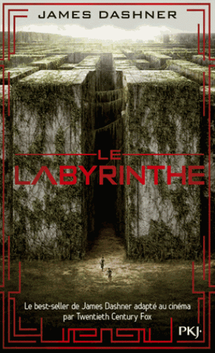 Le labyrinthe Tome 1