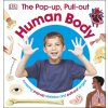 The Pop-Up, Pull-Out Human Body