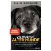 Die Weisheit alter Hunde