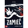 Zamieć