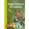 Vögel füttern im Garten