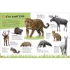 Ultimate Sticker Book Animals 3