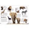 Ultimate Sticker Book Animals 4