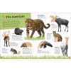 Ultimate Sticker Book Animals 5