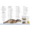 DK Kinderlexikon. Dinosaurier2